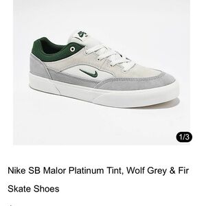 Nike Green and Blue Skate Shoes